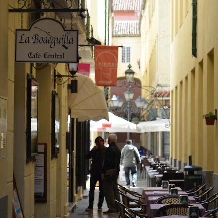 Homely Malaga Plaza Montano المظهر الخارجي الصورة
